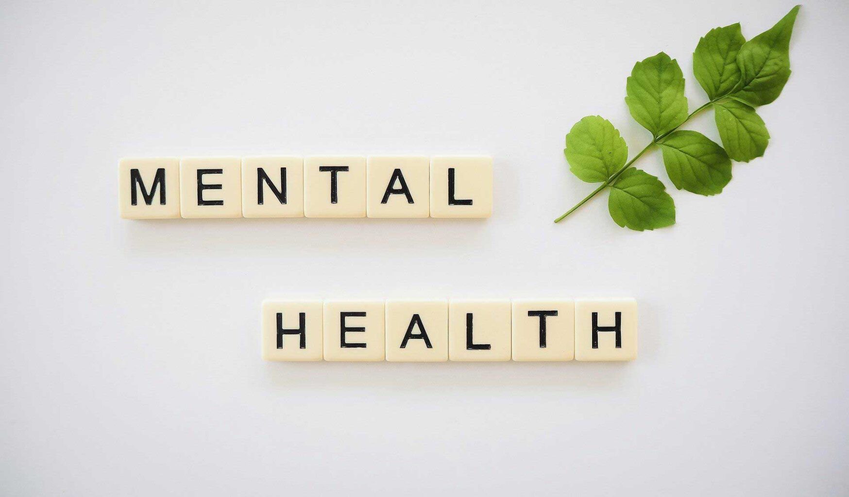 Neben einem grünen Laubblatt zeigen ausgelegte Scrabble-Würfel das Wort Mental Health