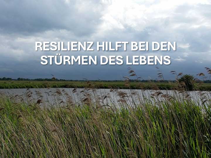 Ein See, stürmische Wolken und im Vordergrund Schilfgras, das sich im Wind biegt. Das ist Resilienz bezogen auf die Natur.